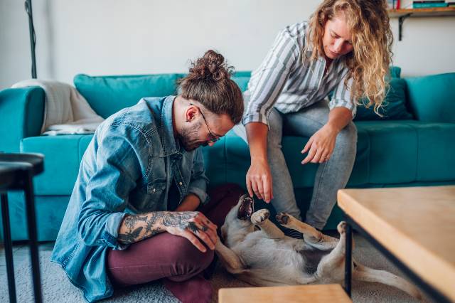 un couple joue avec un chien adopté