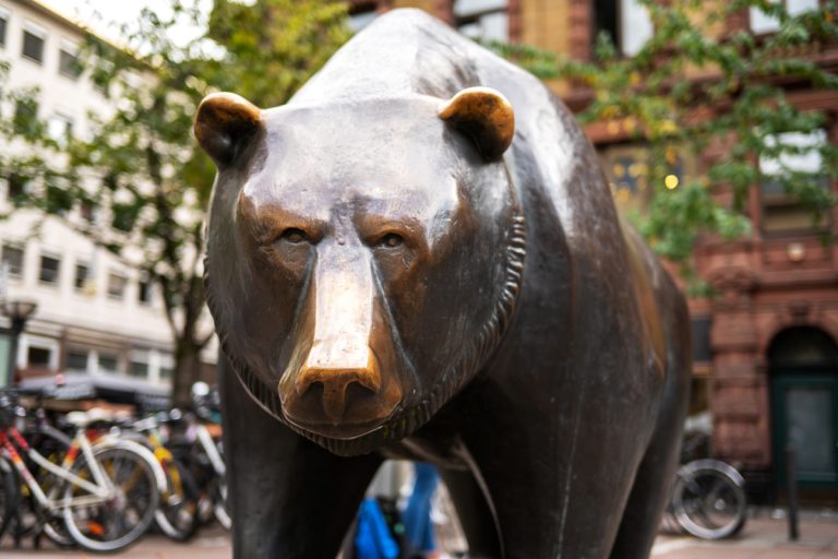 statut ours