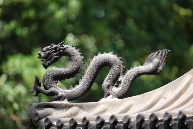 statut dragon