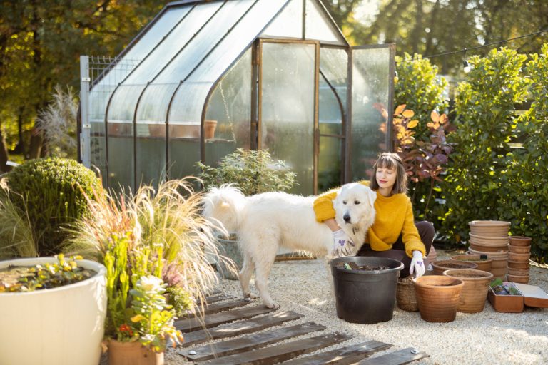 woman with dog plant flowers in garden