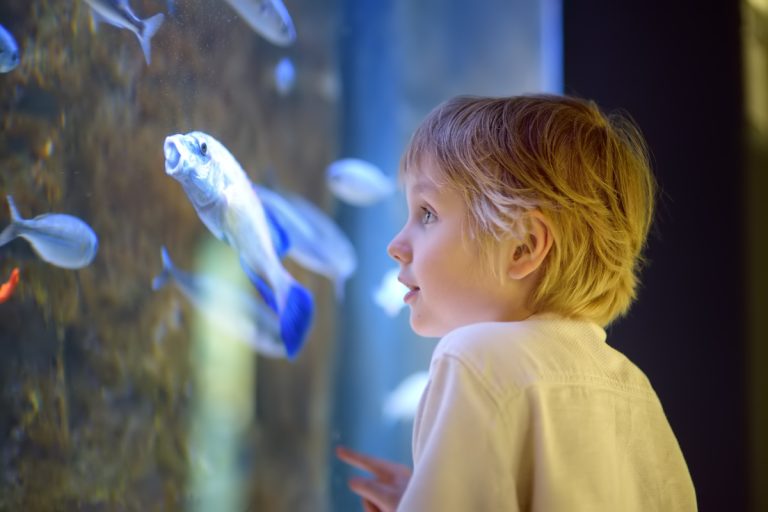 un petit garçon et un poisson
