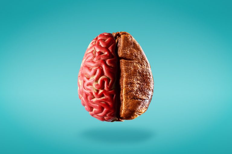 étude cerveau