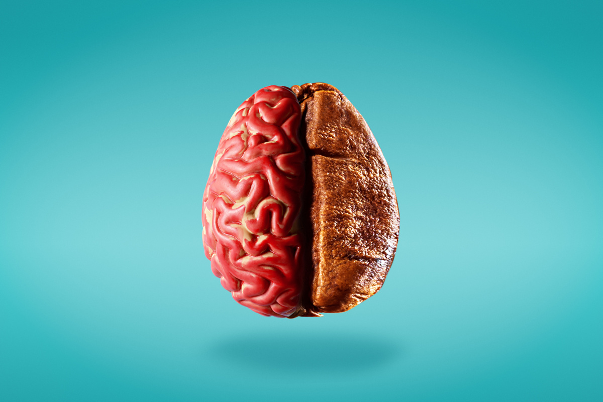 étude cerveau