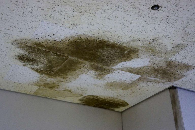 plafond sale