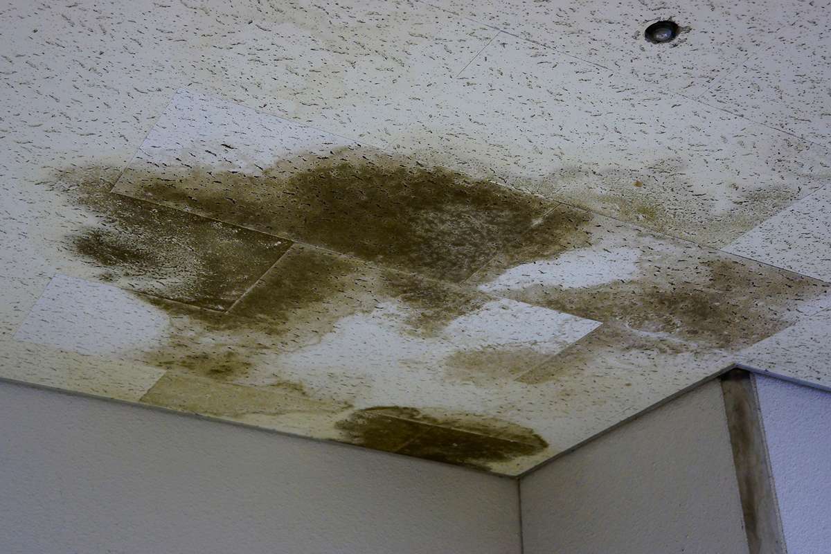plafond sale