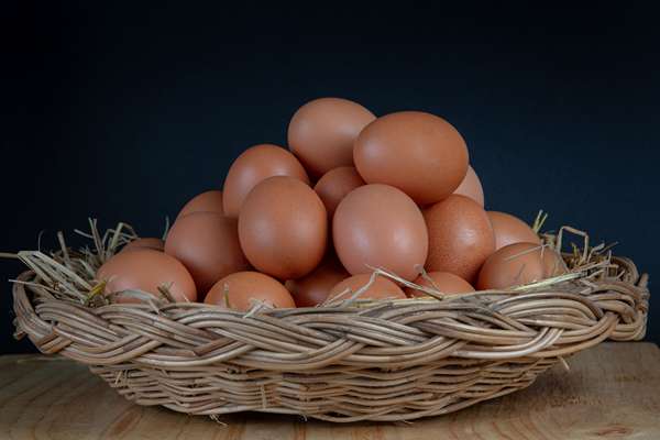 oeufs places dans un panier